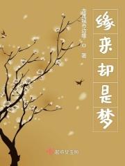 缘来似梦