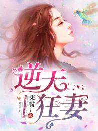 逆天狂妃简介