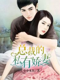 总裁的私有宝贝免费阅读全文