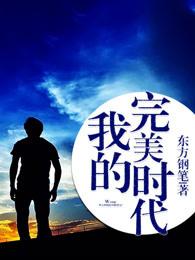 我的完美时代剧情介绍
