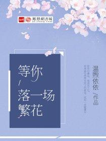 繁华落尽我等你