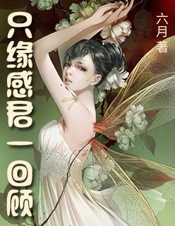 倾世医妃要休夫简介