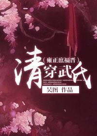 雍正 武氏