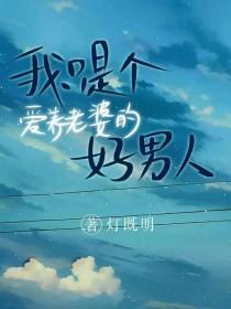 我只是个爱养老婆的好男人作者灯既明