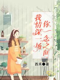 我情深一场免费阅读