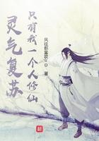 灵气复苏之唯一玩家