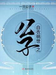 天官赐福白衣祸世是谁